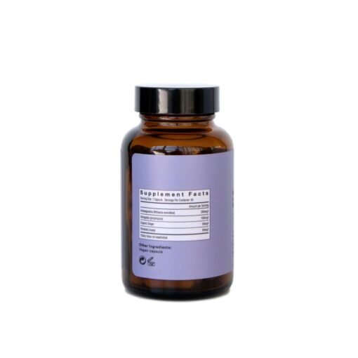 Be Calm (Booster) Mushroom Supplement Capsules