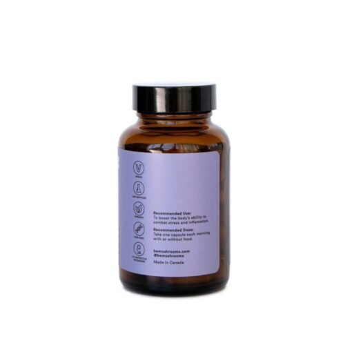 Be Calm (Booster) Mushroom Supplement Capsules