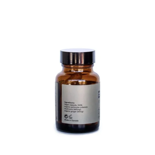 Be Renewed Macrodose Psilocybin Capsules (25 Capsules)